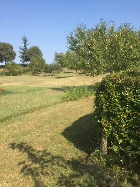 casa in campagna _LORI Volta Mantovana